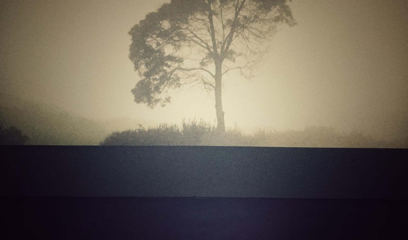 Thumbnail for ARCHIPELAGO CENTRE