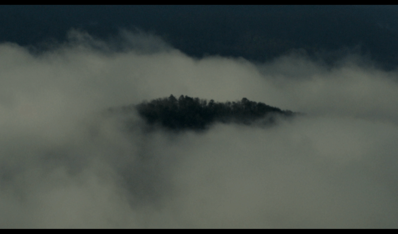 Thumbnail for OLD HARP AT BIG EARS