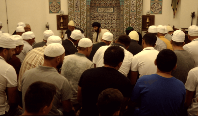 Thumbnail for DOKUFEST