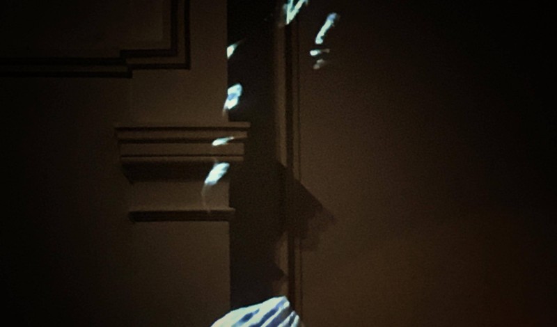 Thumbnail for HÍBRIDOS LIVE AT CPH DOX